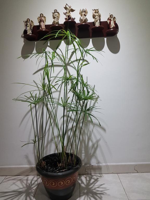 Tu Hogar Cerca A La Zona T Apartment Bogota Luaran gambar